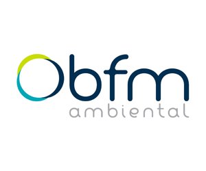 logo_bfm