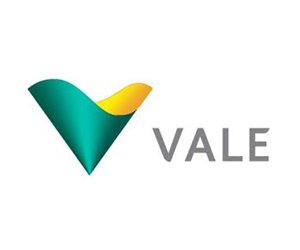 logo_vale